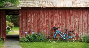 A blue bike awaits your next adventure at Brampton Inn