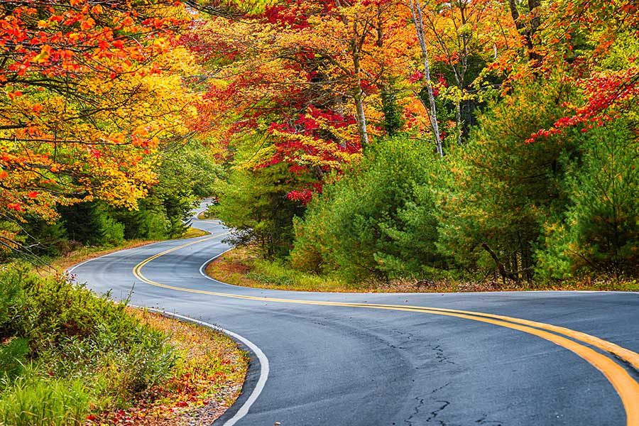 Windy road with fall foliage