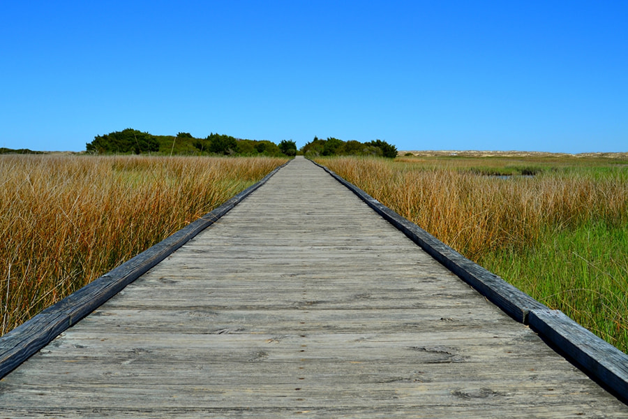 Boardwalk over a marsh on a Maryland hiking trail