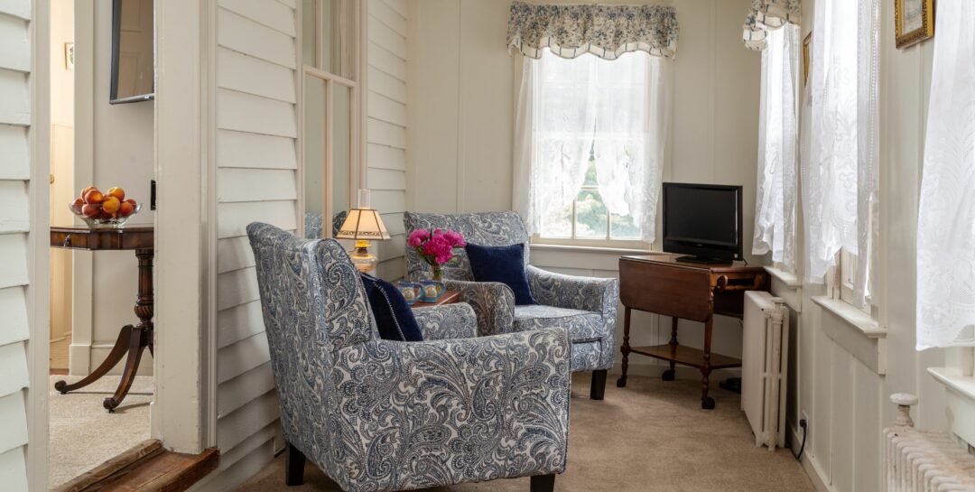 Two navy and white paisley chairs in a cozy carpeted room with window and TV