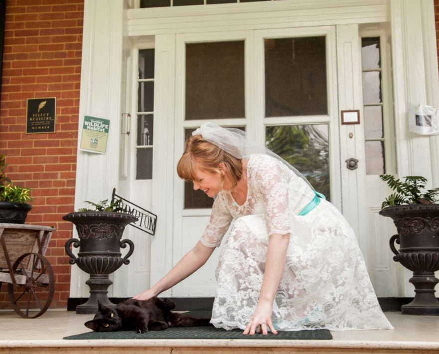 Bride petting a cat