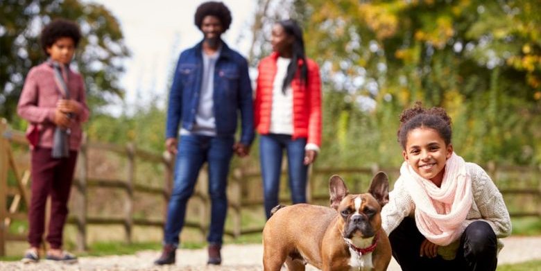 an african american family playing with a dog