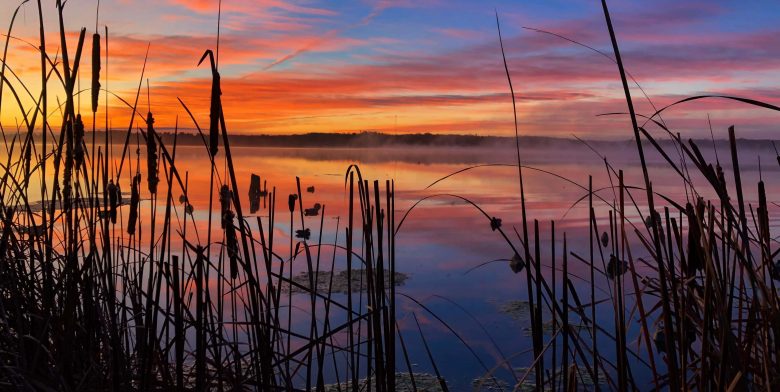 Sun setting over a lake with ducks floating on the water