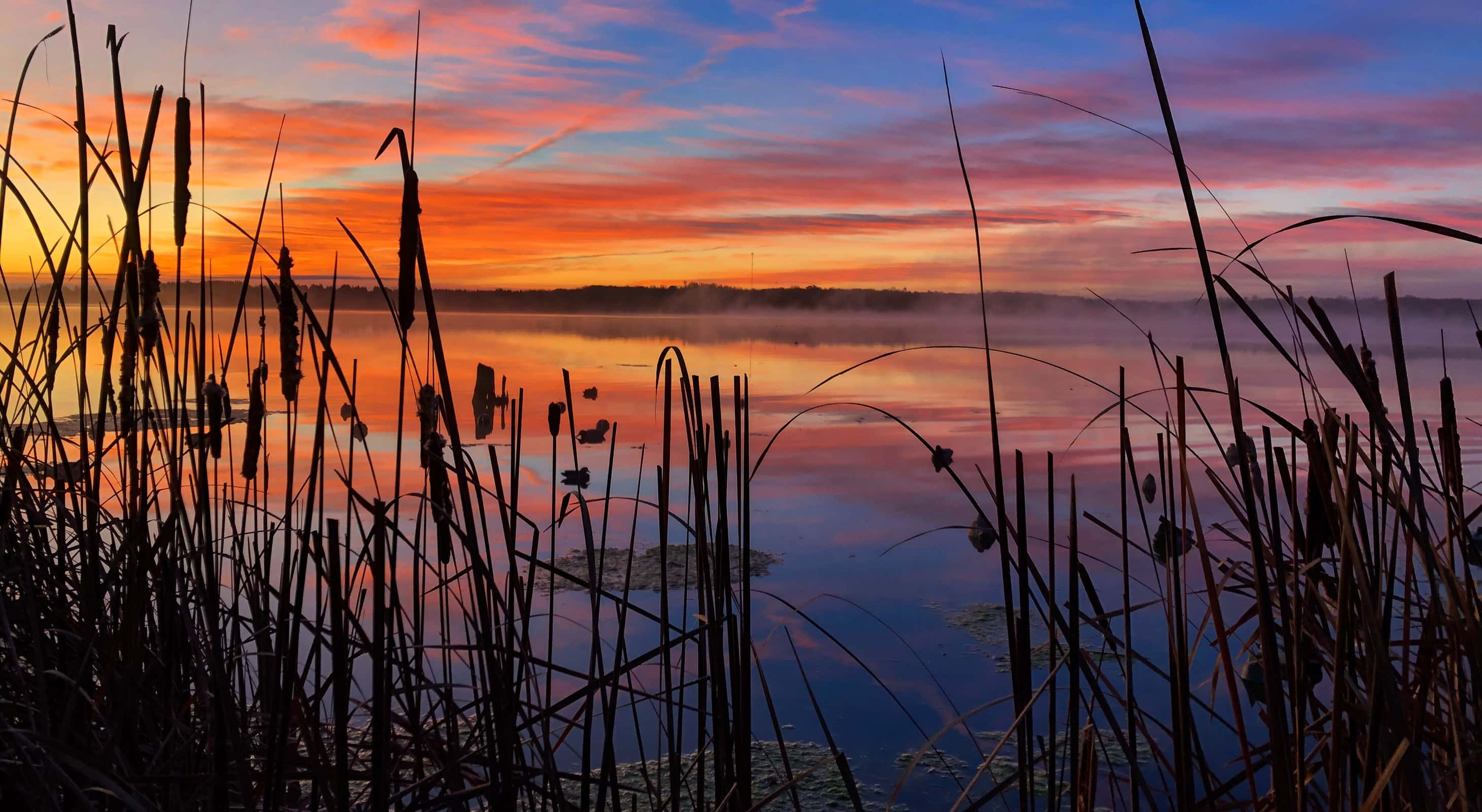 Sun setting over a lake with ducks floating on the water