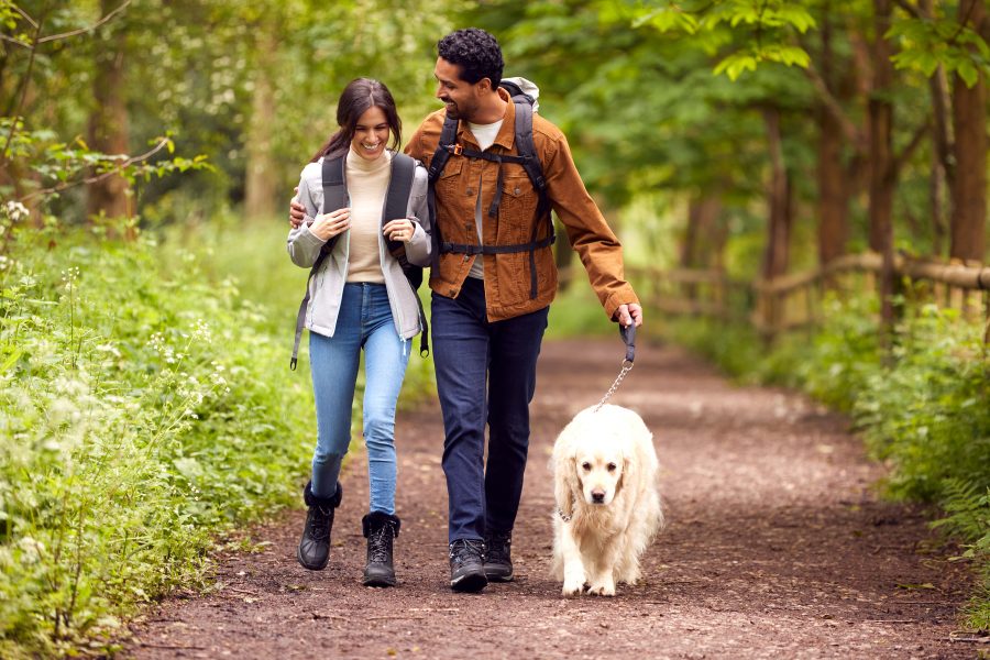 a couple walking their dog in Chestertown, MD